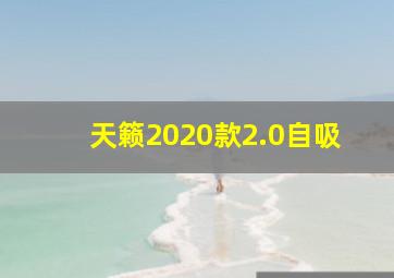 天籁2020款2.0自吸