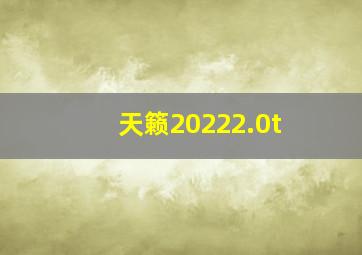 天籁20222.0t