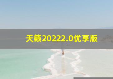 天籁20222.0优享版