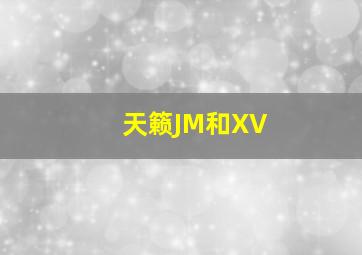 天籁JM和XV