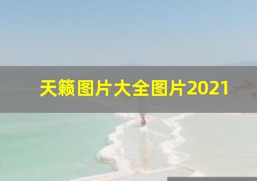 天籁图片大全图片2021