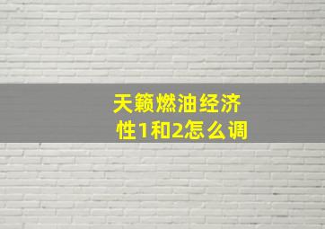 天籁燃油经济性1和2怎么调