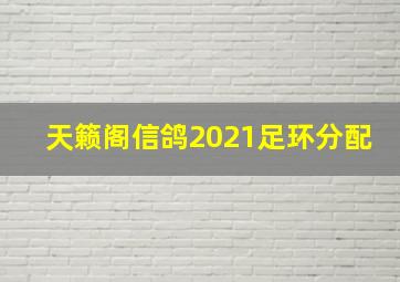 天籁阁信鸽2021足环分配