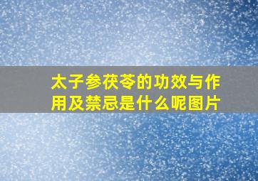 太子参茯苓的功效与作用及禁忌是什么呢图片