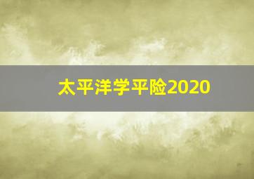 太平洋学平险2020