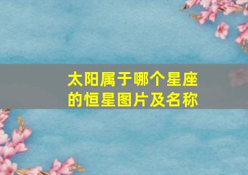 太阳属于哪个星座的恒星图片及名称