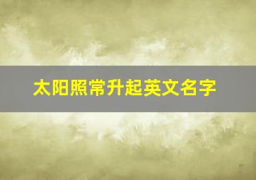 太阳照常升起英文名字