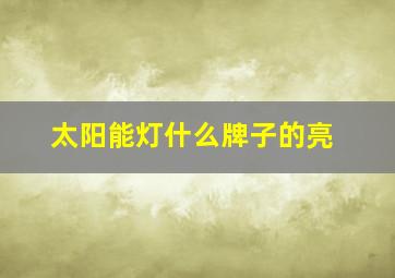 太阳能灯什么牌子的亮