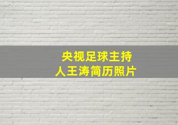 央视足球主持人王涛简历照片