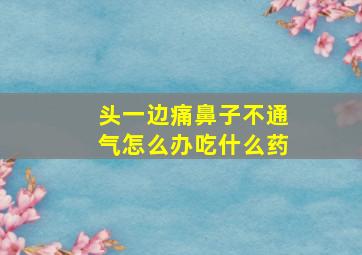 头一边痛鼻子不通气怎么办吃什么药