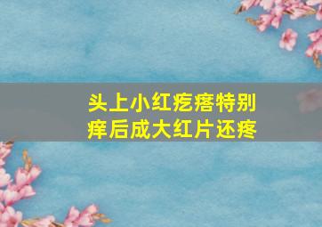 头上小红疙瘩特别痒后成大红片还疼