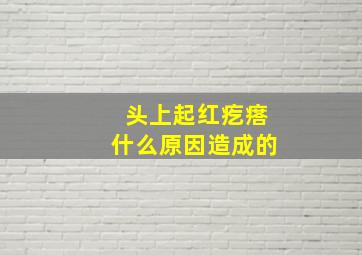 头上起红疙瘩什么原因造成的