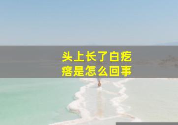 头上长了白疙瘩是怎么回事