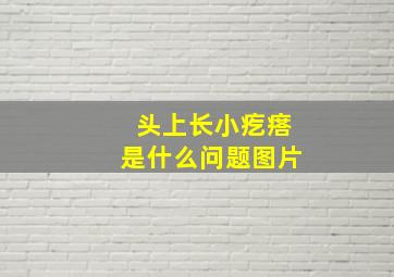 头上长小疙瘩是什么问题图片