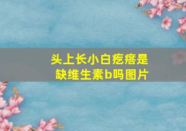 头上长小白疙瘩是缺维生素b吗图片