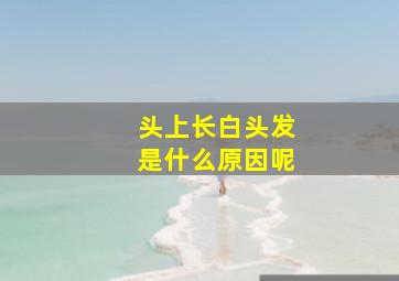 头上长白头发是什么原因呢