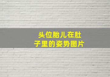 头位胎儿在肚子里的姿势图片