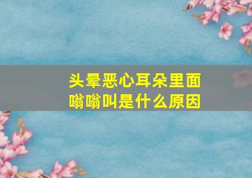 头晕恶心耳朵里面嗡嗡叫是什么原因