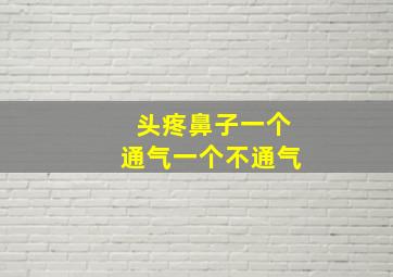 头疼鼻子一个通气一个不通气