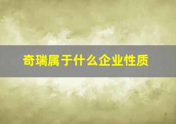 奇瑞属于什么企业性质