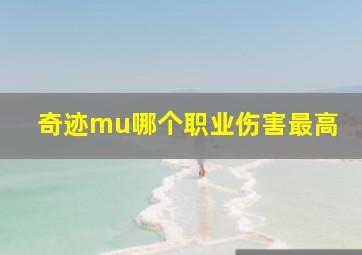 奇迹mu哪个职业伤害最高