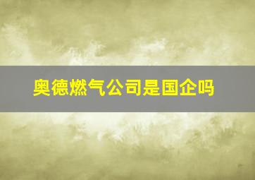 奥德燃气公司是国企吗