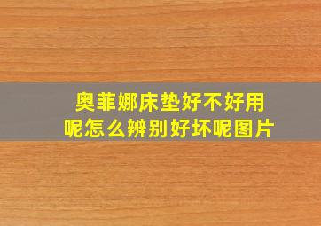 奥菲娜床垫好不好用呢怎么辨别好坏呢图片