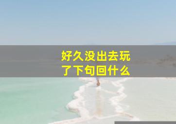 好久没出去玩了下句回什么