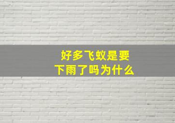 好多飞蚁是要下雨了吗为什么