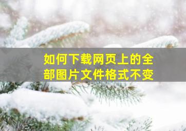 如何下载网页上的全部图片文件格式不变