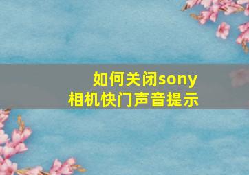 如何关闭sony相机快门声音提示