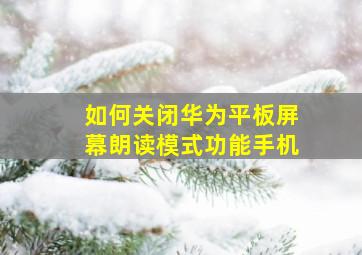 如何关闭华为平板屏幕朗读模式功能手机