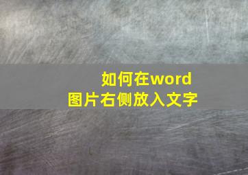 如何在word图片右侧放入文字