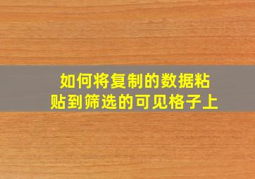 如何将复制的数据粘贴到筛选的可见格子上