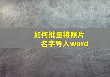 如何批量将照片名字导入word