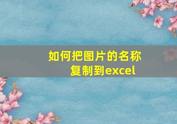 如何把图片的名称复制到excel