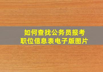 如何查找公务员报考职位信息表电子版图片