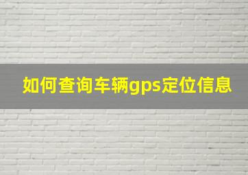 如何查询车辆gps定位信息