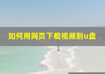 如何用网页下载视频到u盘