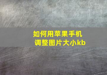 如何用苹果手机调整图片大小kb