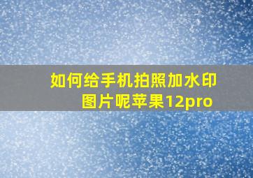 如何给手机拍照加水印图片呢苹果12pro