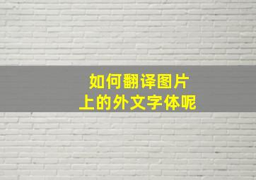 如何翻译图片上的外文字体呢