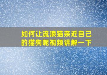 如何让流浪猫亲近自己的猫狗呢视频讲解一下