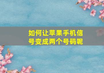 如何让苹果手机信号变成两个号码呢