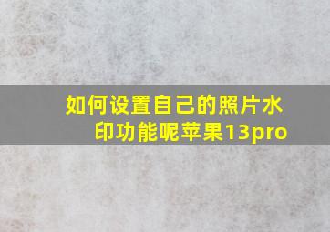 如何设置自己的照片水印功能呢苹果13pro