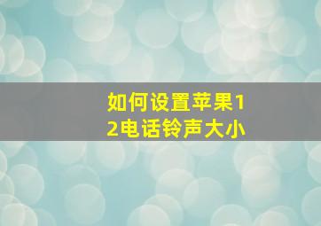 如何设置苹果12电话铃声大小