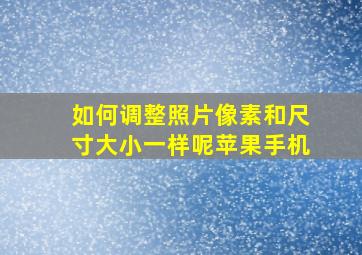 如何调整照片像素和尺寸大小一样呢苹果手机