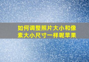 如何调整照片大小和像素大小尺寸一样呢苹果