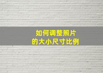 如何调整照片的大小尺寸比例