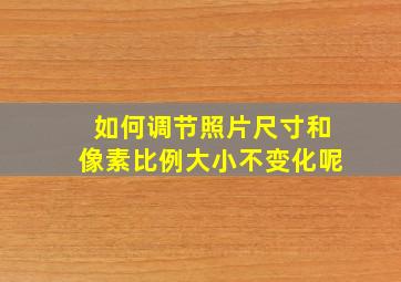 如何调节照片尺寸和像素比例大小不变化呢